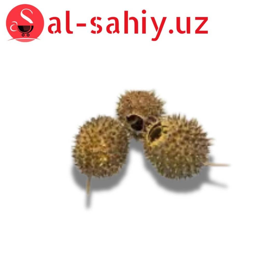Бурнаки 1