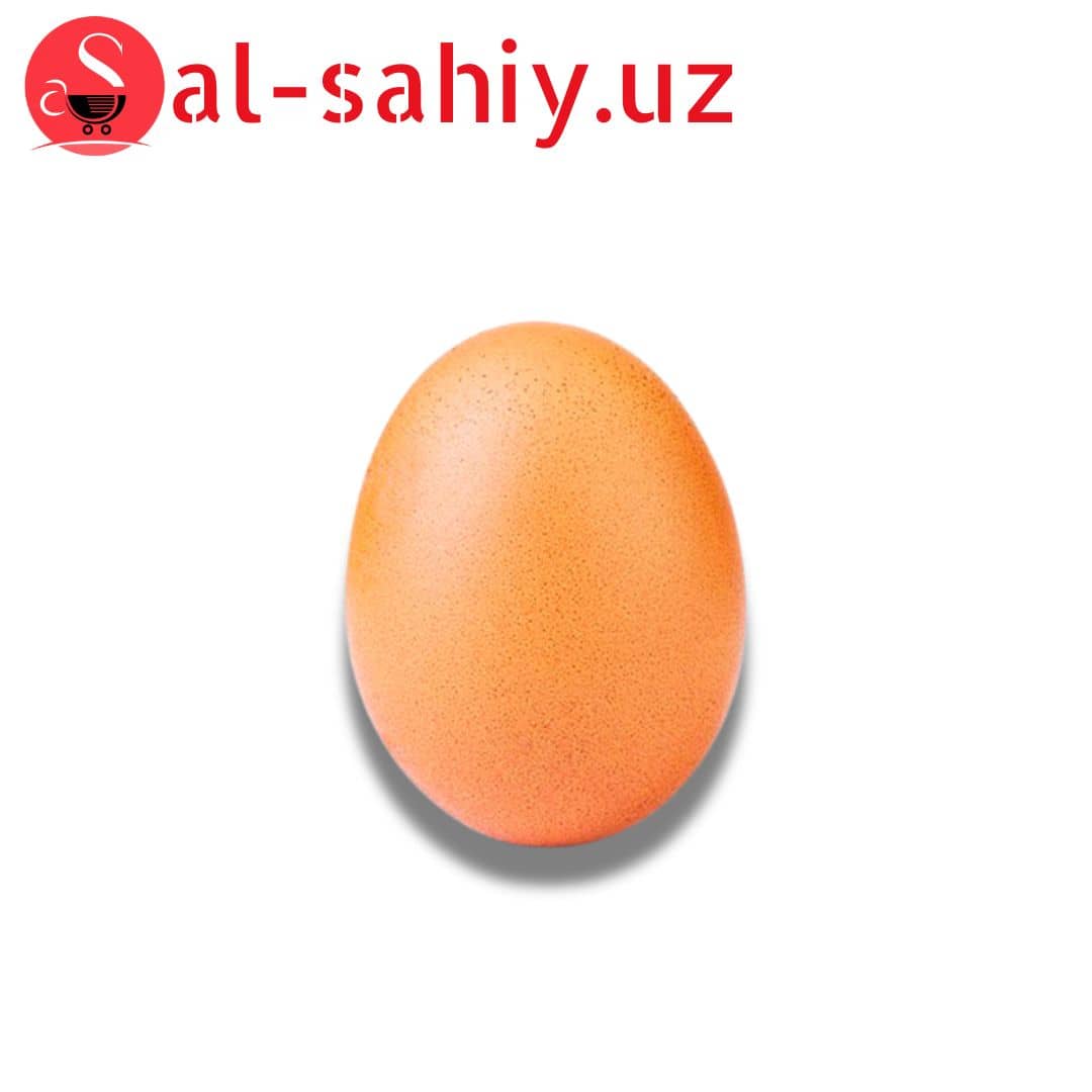 Тухум ДОМАШНЫЙ 1 шт 1