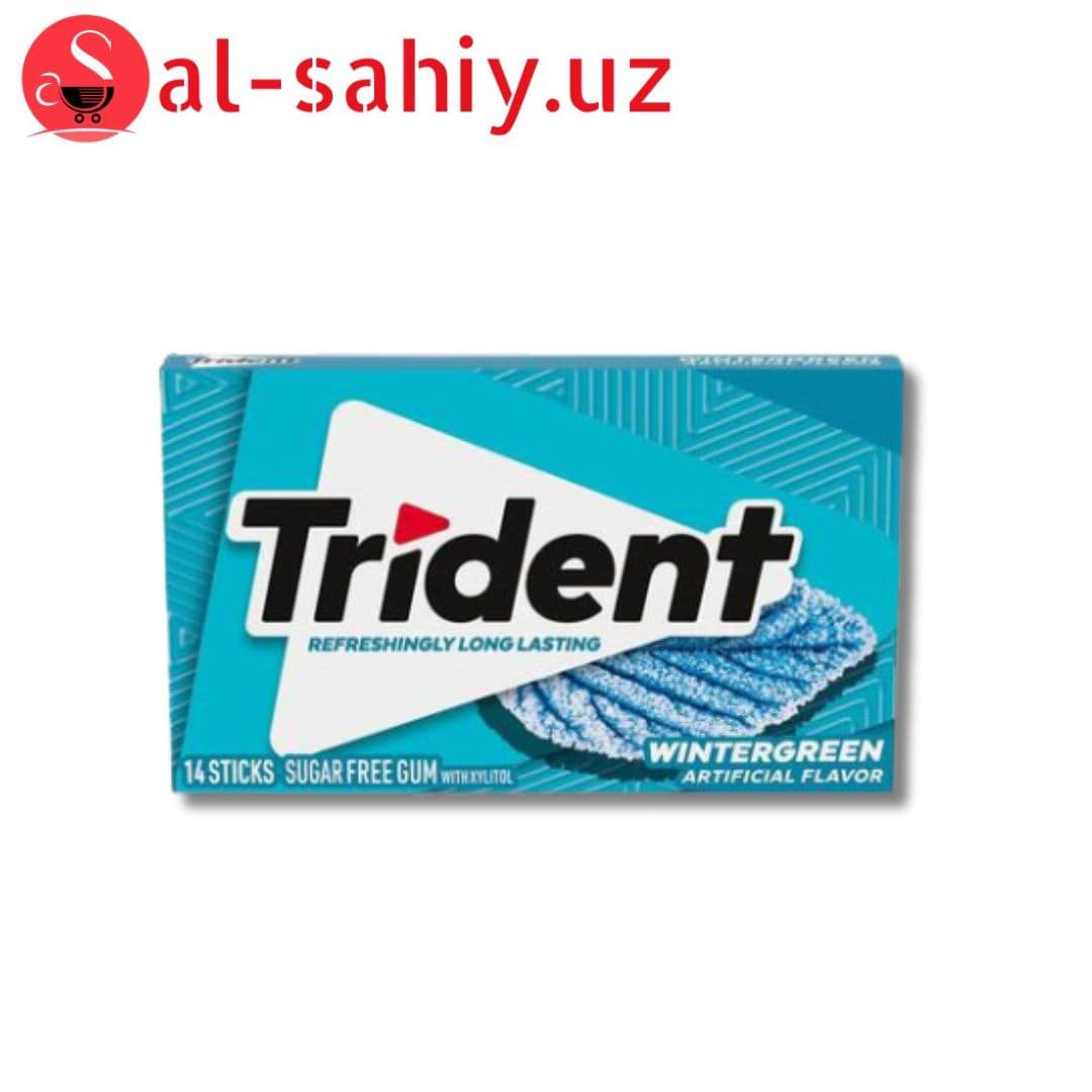 Жевательная резинка Trident Wintergreen 14sticks