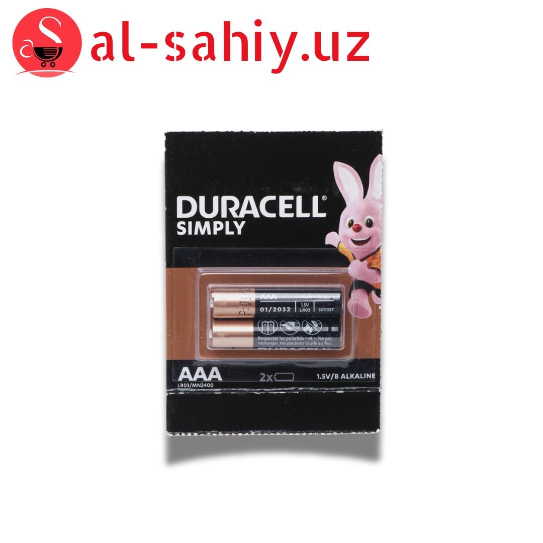 Батарейки AAA LR03-MN2400 Duracell 2шт